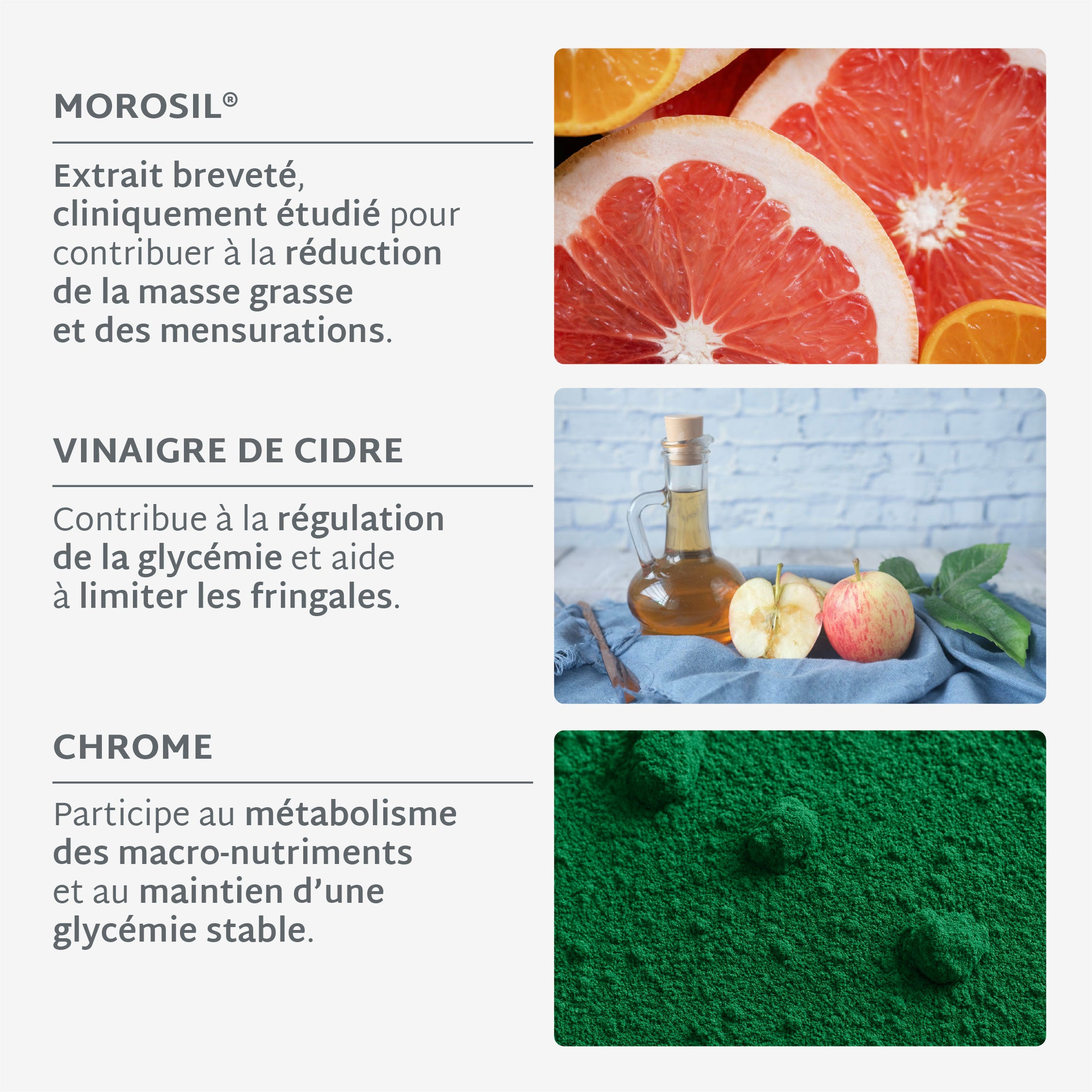 Gummies ULTRA SLIM MOROSIL | Brûle-graisse et régulation du poids | 21 jours