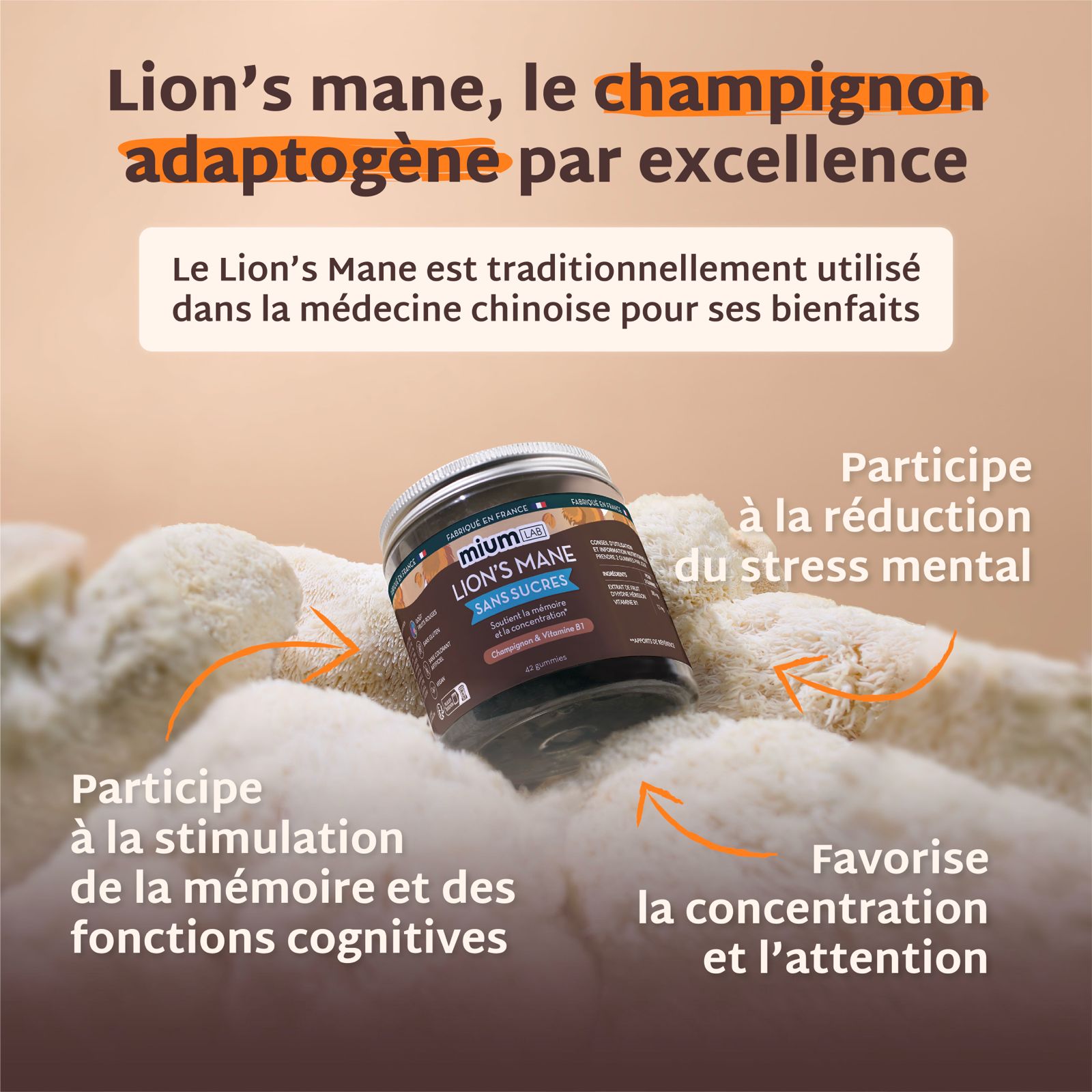 Pack 4 pots Gummies LION&