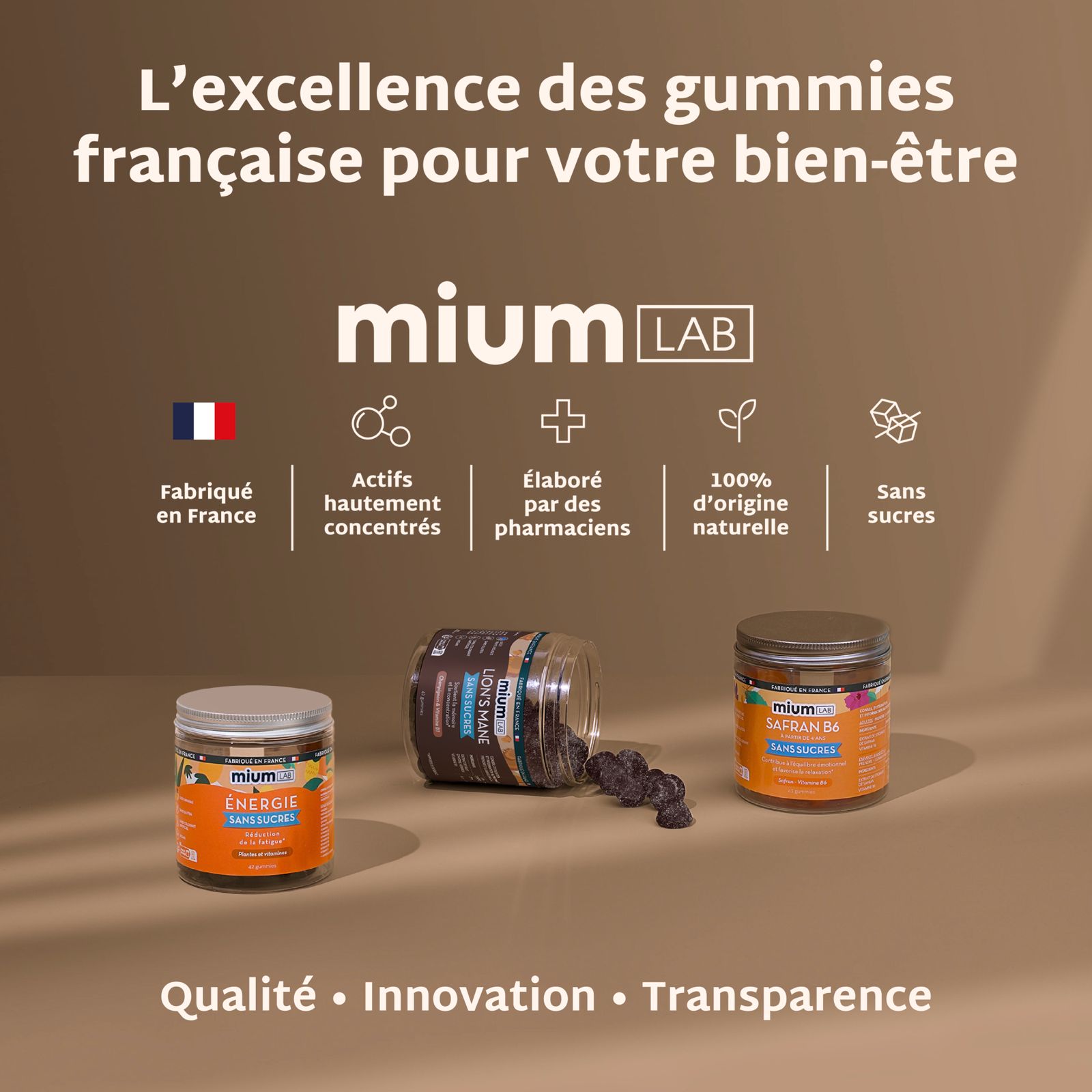 Pack 4 pots Gummies LION&