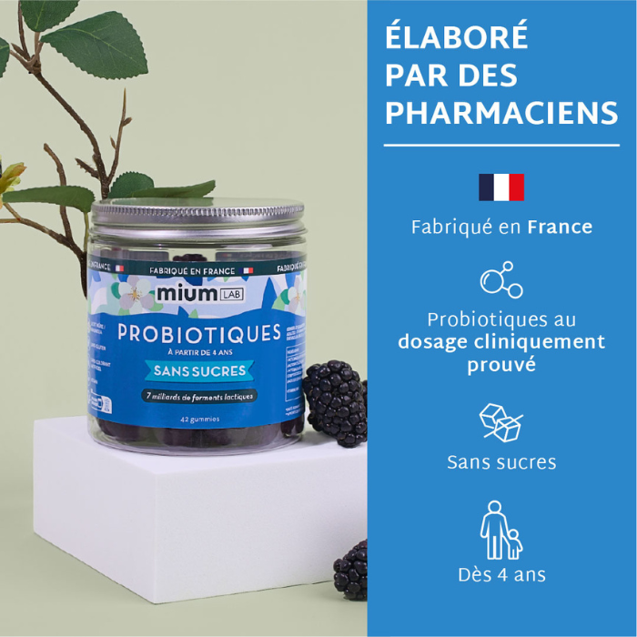 Gummies PROBIOTIQUES SANS SUCRES | Confort digestif | 21 jours