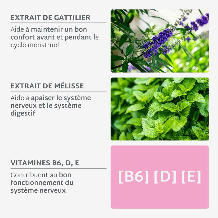 🏴 Pack Gummies Confort Menstruel | Soulage le syndrôme pré-menstruel | Cure complète 3 mois