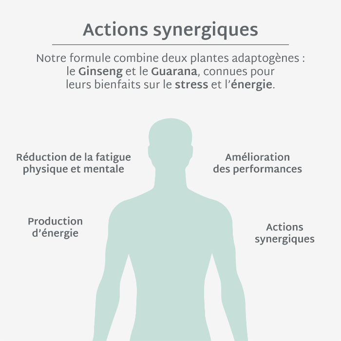 Gummies ÉNERGIE SANS SUCRES | Boost Physique et Mental | 21 jours