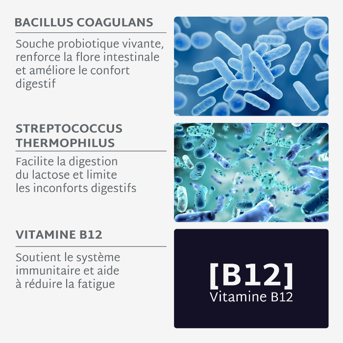 Pack Trio RESET MÉTABOLISME JOUR & NUIT | Morosil + Probiotiques + Sommeil | 3 x 21 jours