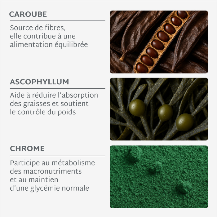 Gummies MINCEUR SANS SUCRES | Perte de poids | 21 jours