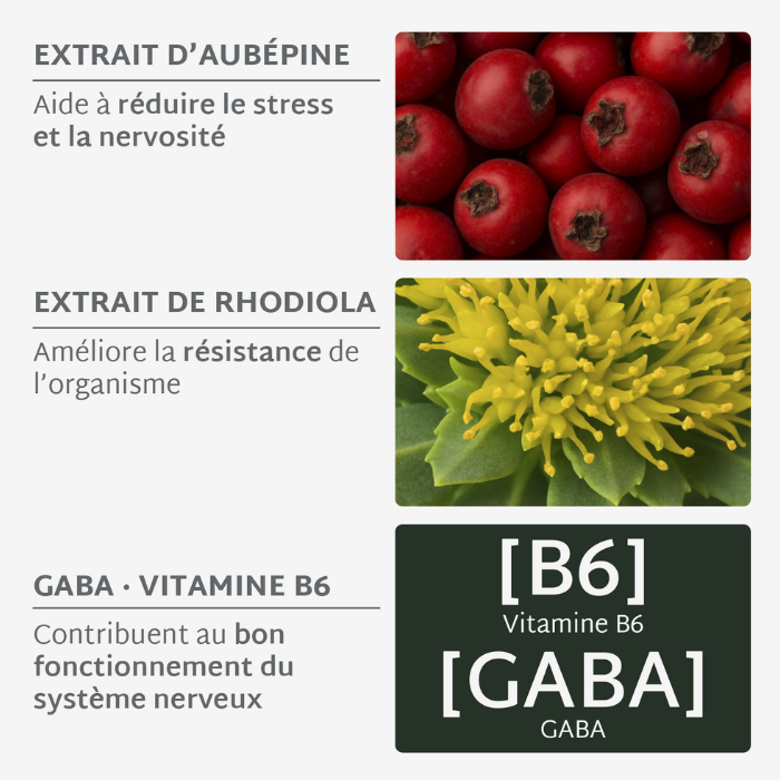 Gummies STRESS SANS SUCRES | Anti-stress et anxiété | 21 jours