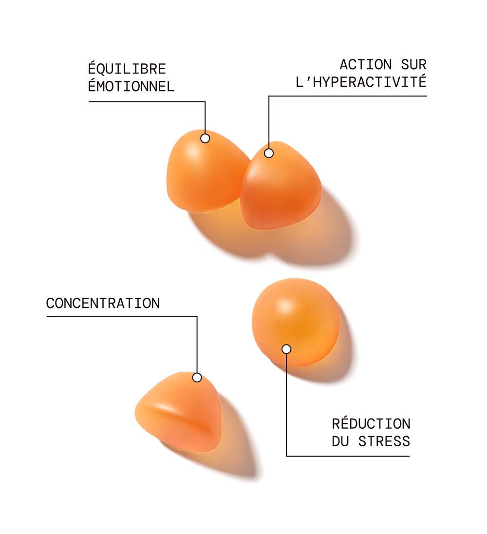 Pack Équilibre Émotionnel - 4 pots | Magnésium + Safran B6 + Sommeil + Stress | 4 x 21 jours