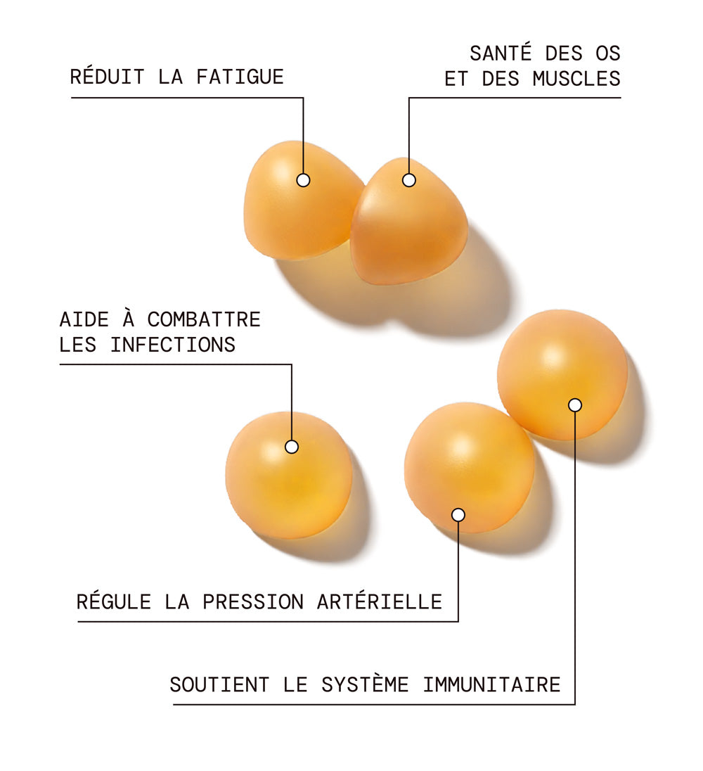 Programme Enfants n°5 : Pleine Croissance | Multivitamines Enfants, Safran B6 et Vitamine D | 3 x 21 jours