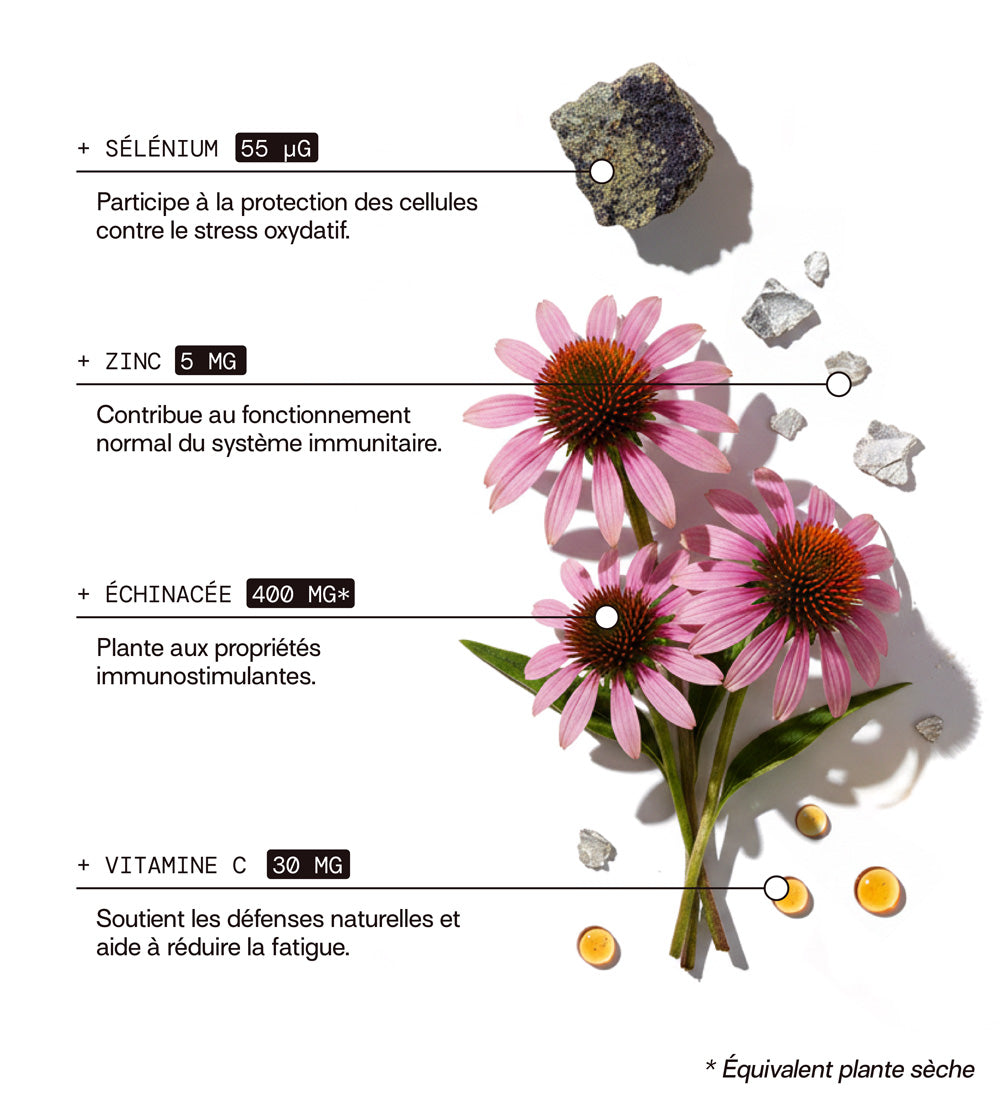 composition: sélénium, zinc, echinacée, vitamine c