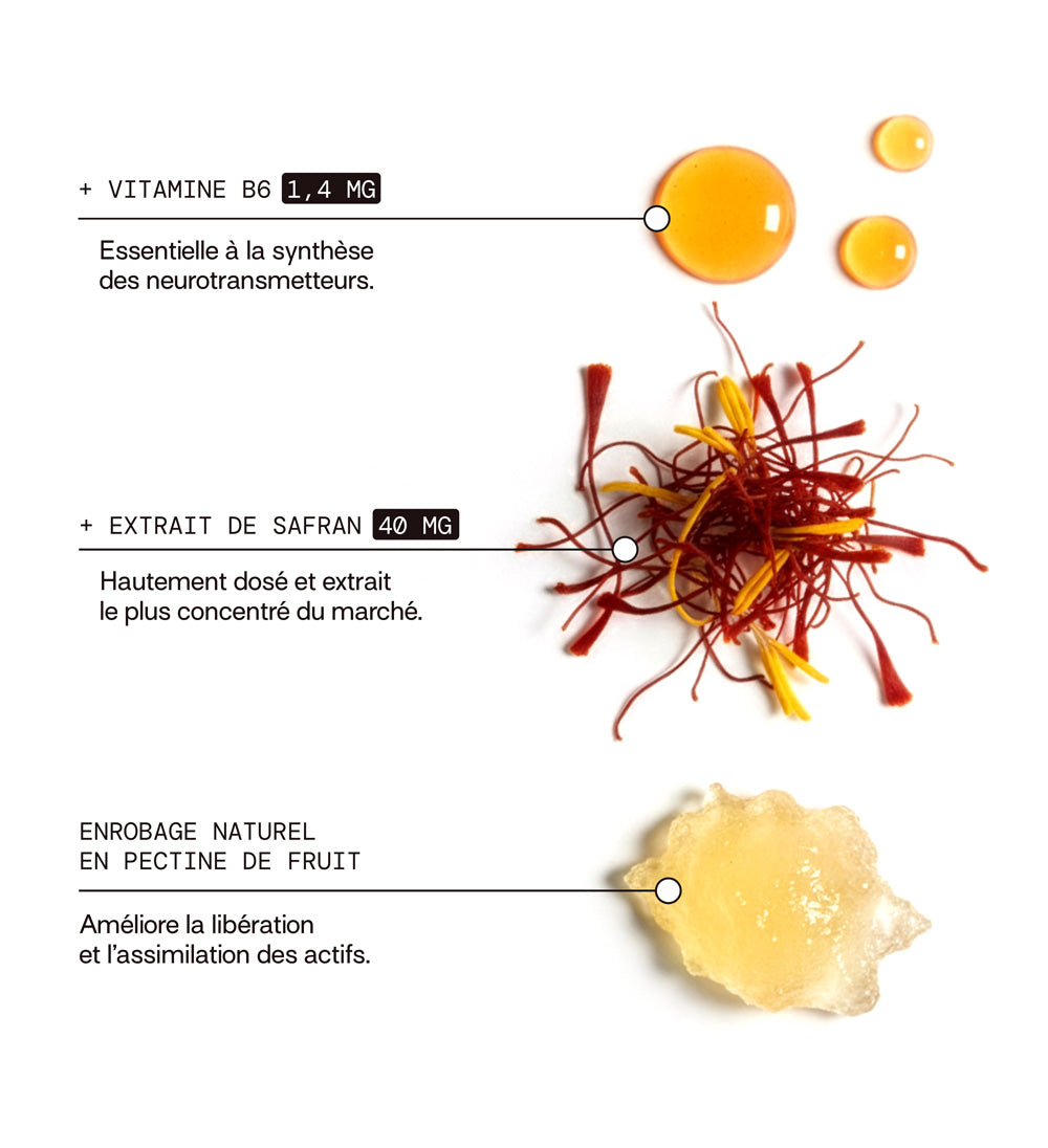 Pack Safran B6 PÊCHE - 1 pot + 3 éco-recharges | Améliore l&