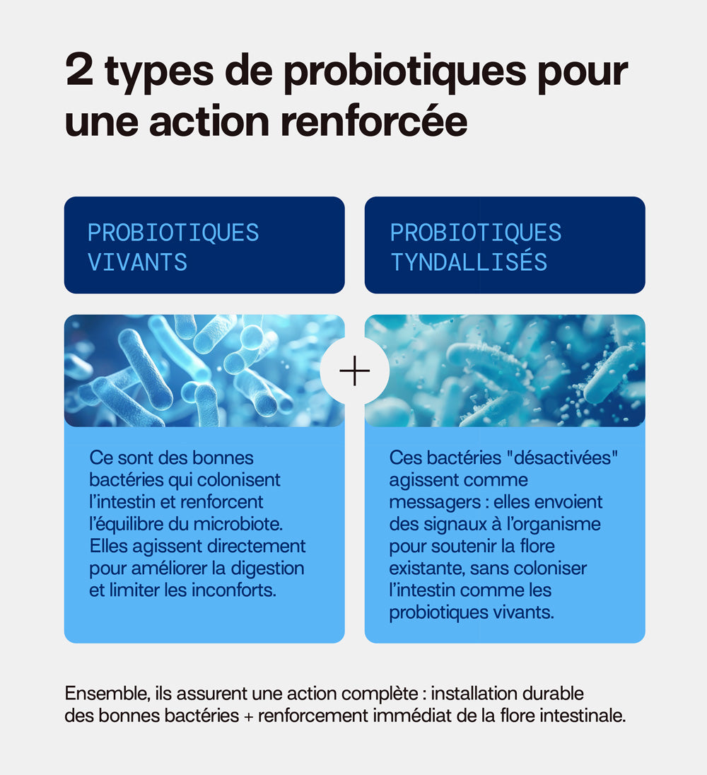 2 type de probiotiques pour action renforcée: vivants et tyndalisés