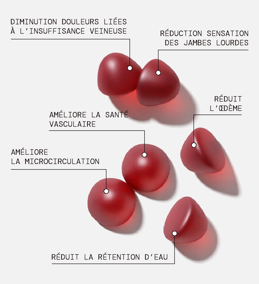 Pack Gummies CIRCULATION SANS SUCRES | Super pack | 4 x 21 jours