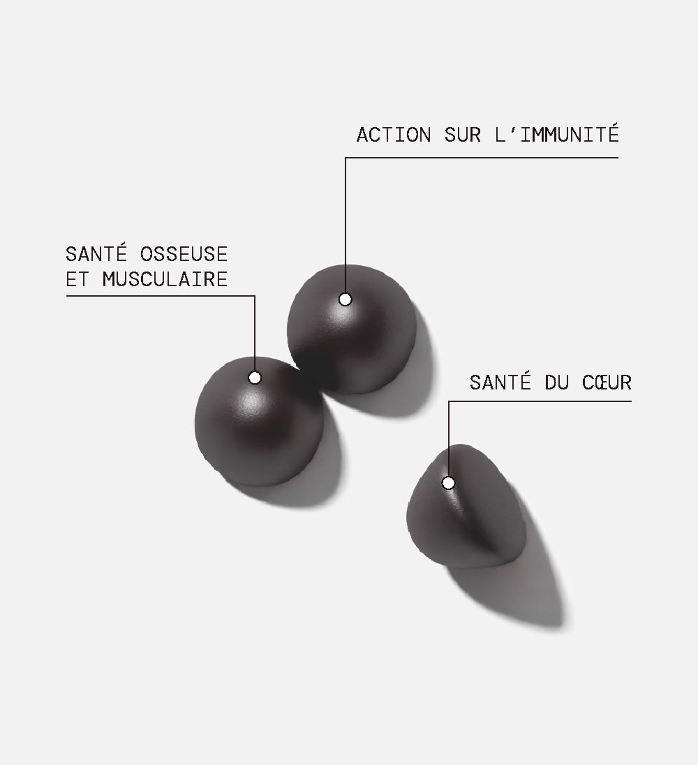 Pack Gummies FER SANS SUCRES | Haute tolérance digestive | 4 x 21 jours