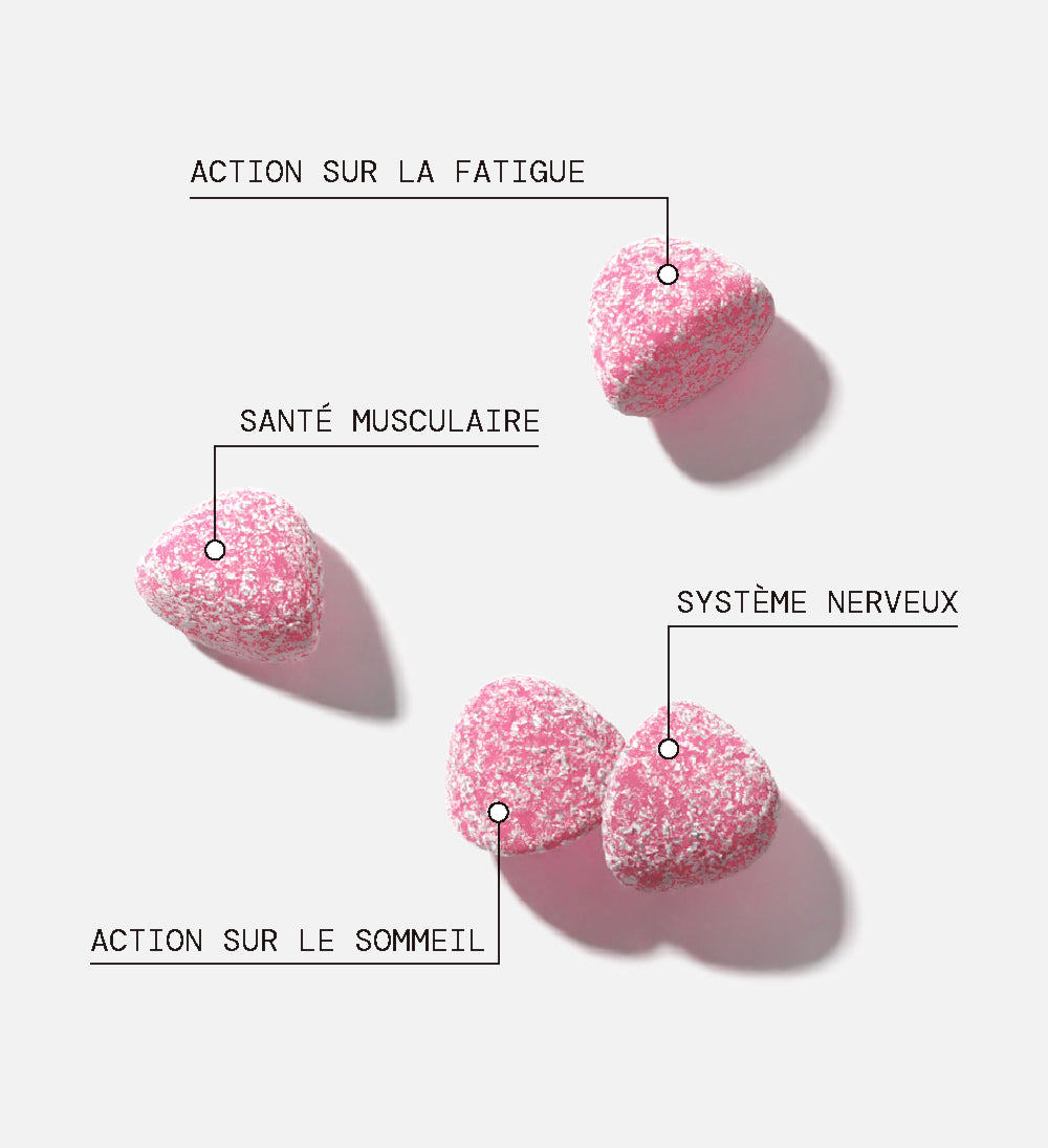Gummies MAGNÉSIUM SANS SUCRES | Réduit la fatigue et la nervosité | 21 jours