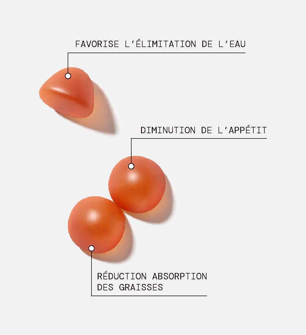 Pack Gummies Minceur SANS SUCRES | Régule la satiété | 4 x 21 jours