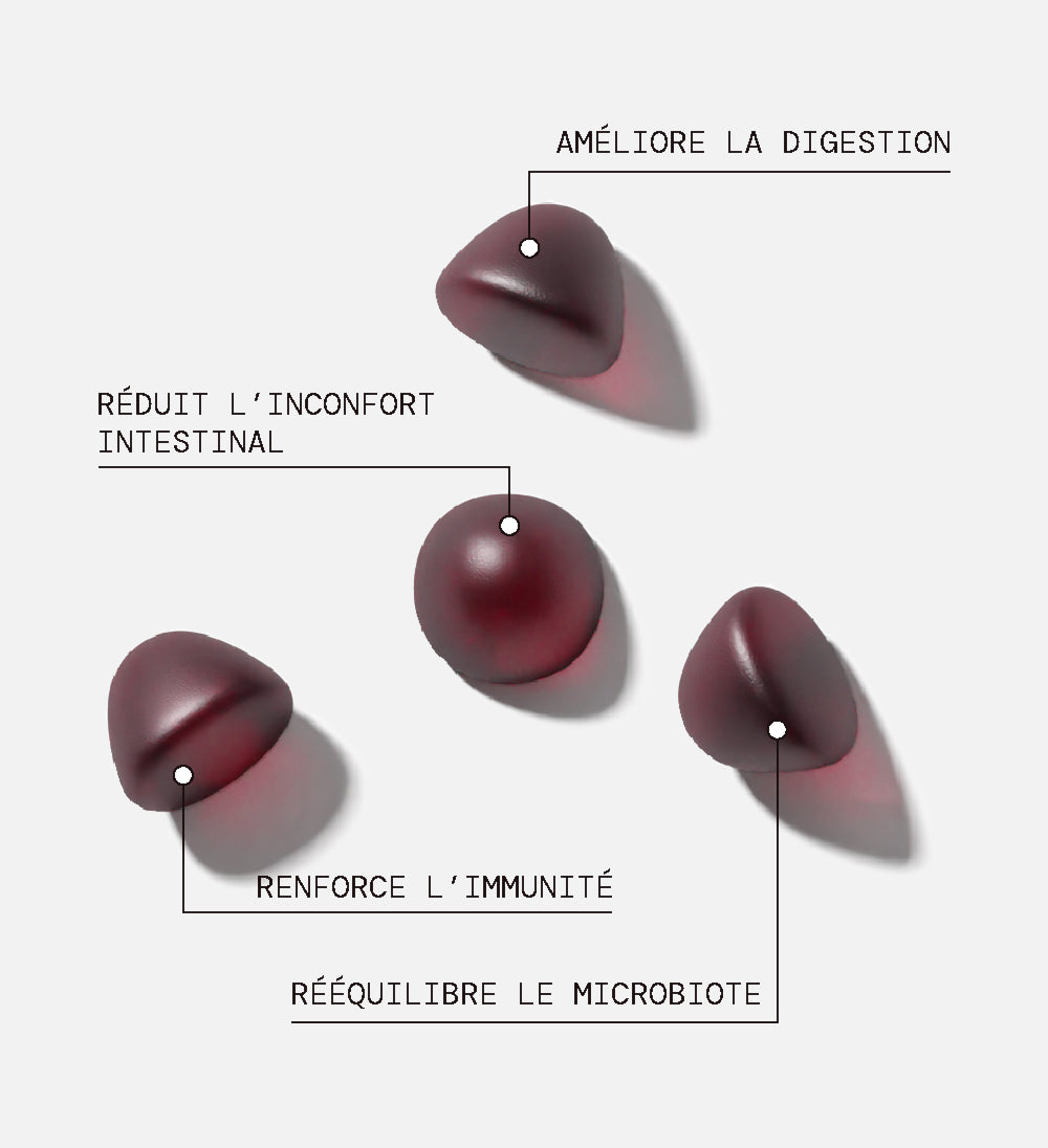 Gummies PROBIOTIQUES SANS SUCRES | Confort digestif | 21 jours