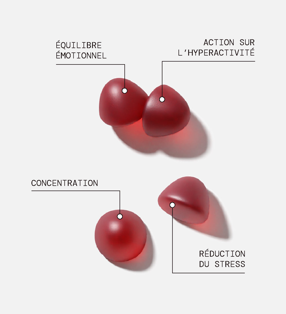 Gummies SAFRAN B6 FRAISE | Calme et concentration | Pack 4 x 21 jours 🧒