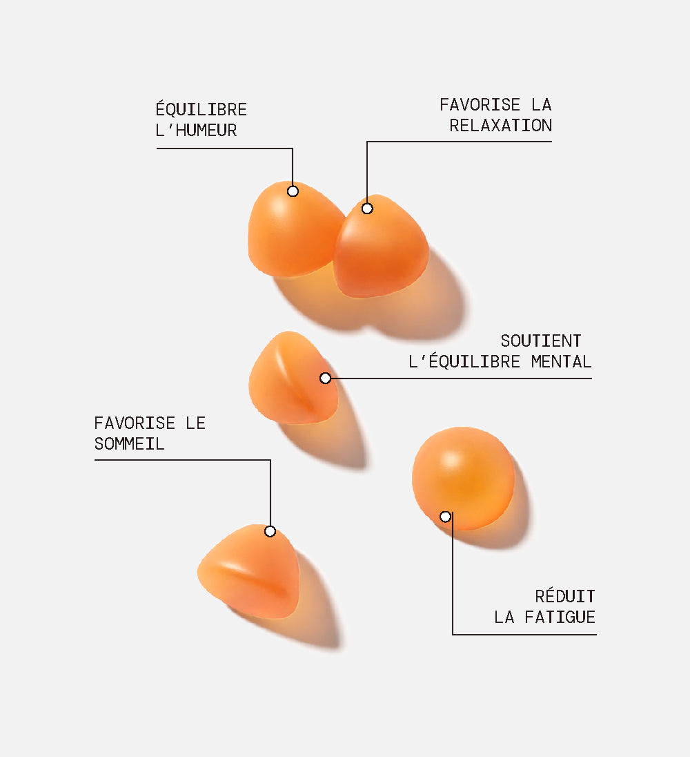 Gummies SAFRAN B6 PÊCHE SANS SUCRES | Équilibre émotionnel | 21 jours 🔬