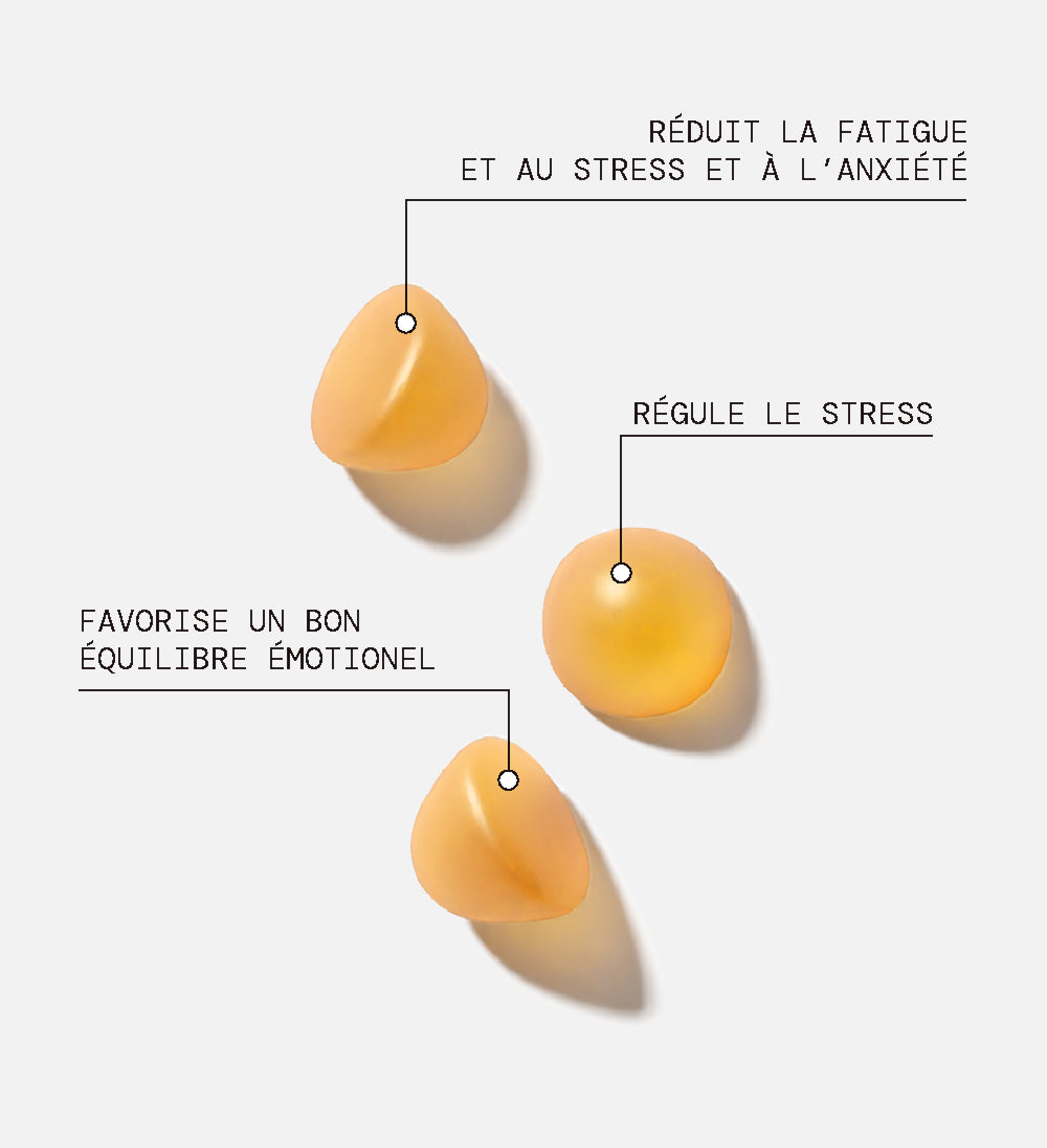 Pack Gummies STRESS SANS SUCRES | Favorise le retour au calme | 4 x 21 jours