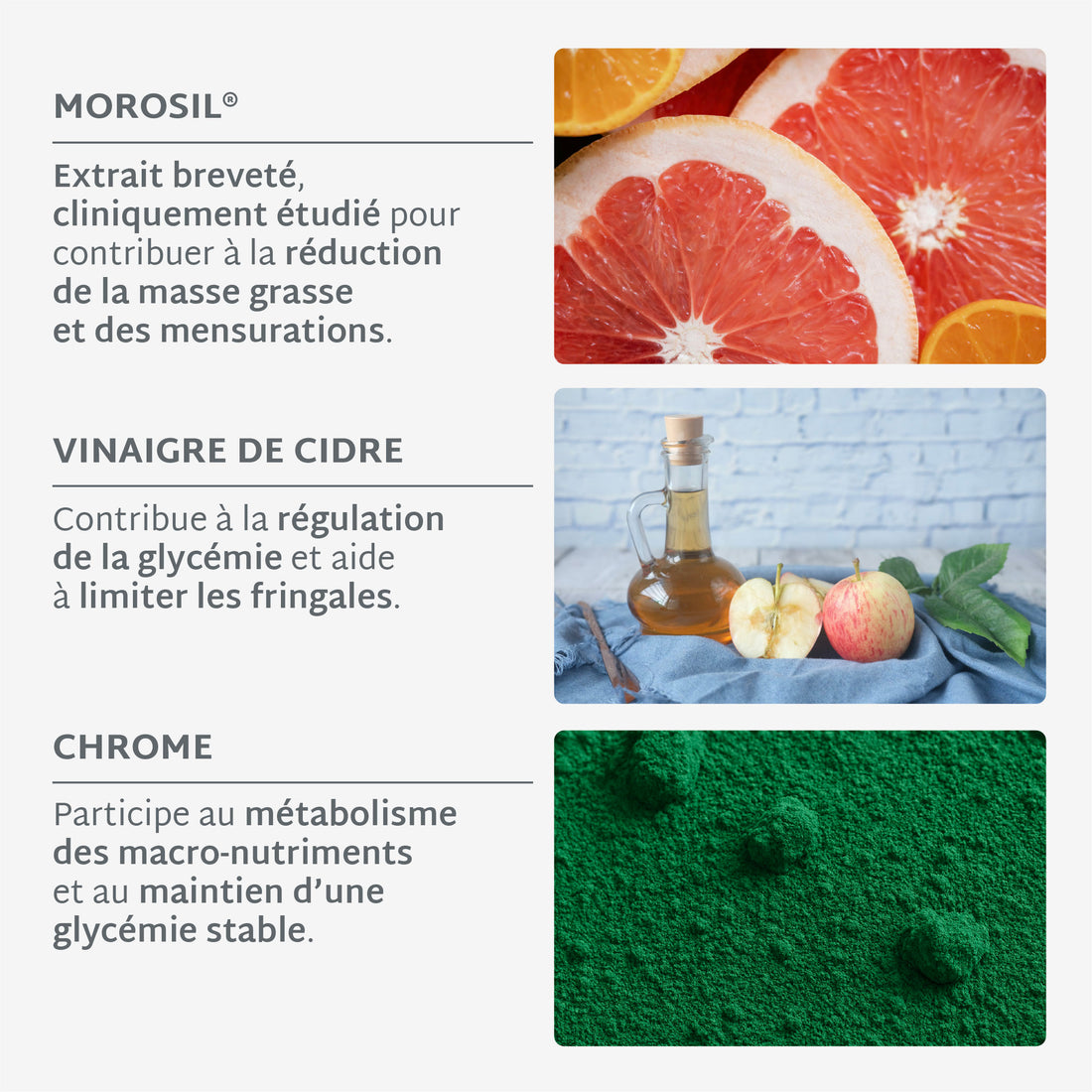 Gummies ULTRA SLIM MOROSIL | Brûle-graisse et régulation du poids | 21 jours