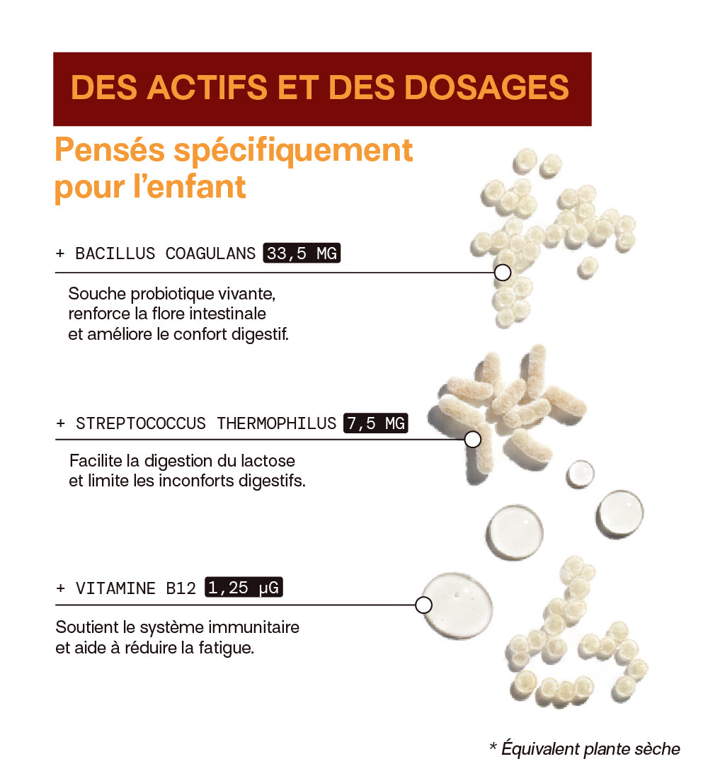 Gummies PROBIOTIQUES SANS SUCRES ENFANTS | Confort digestif | 30 jours 🧒
