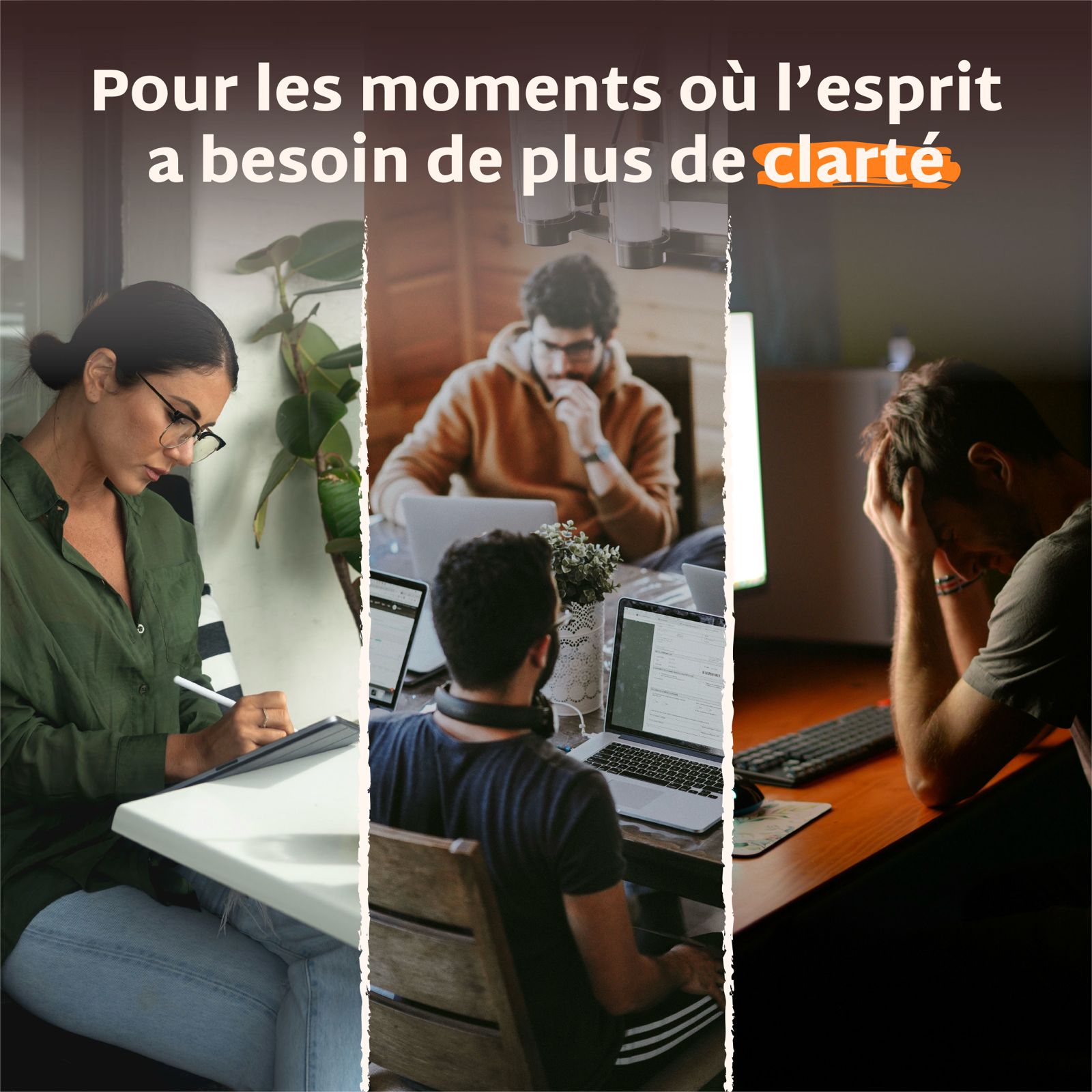 Pack 4 pots Gummies LION&