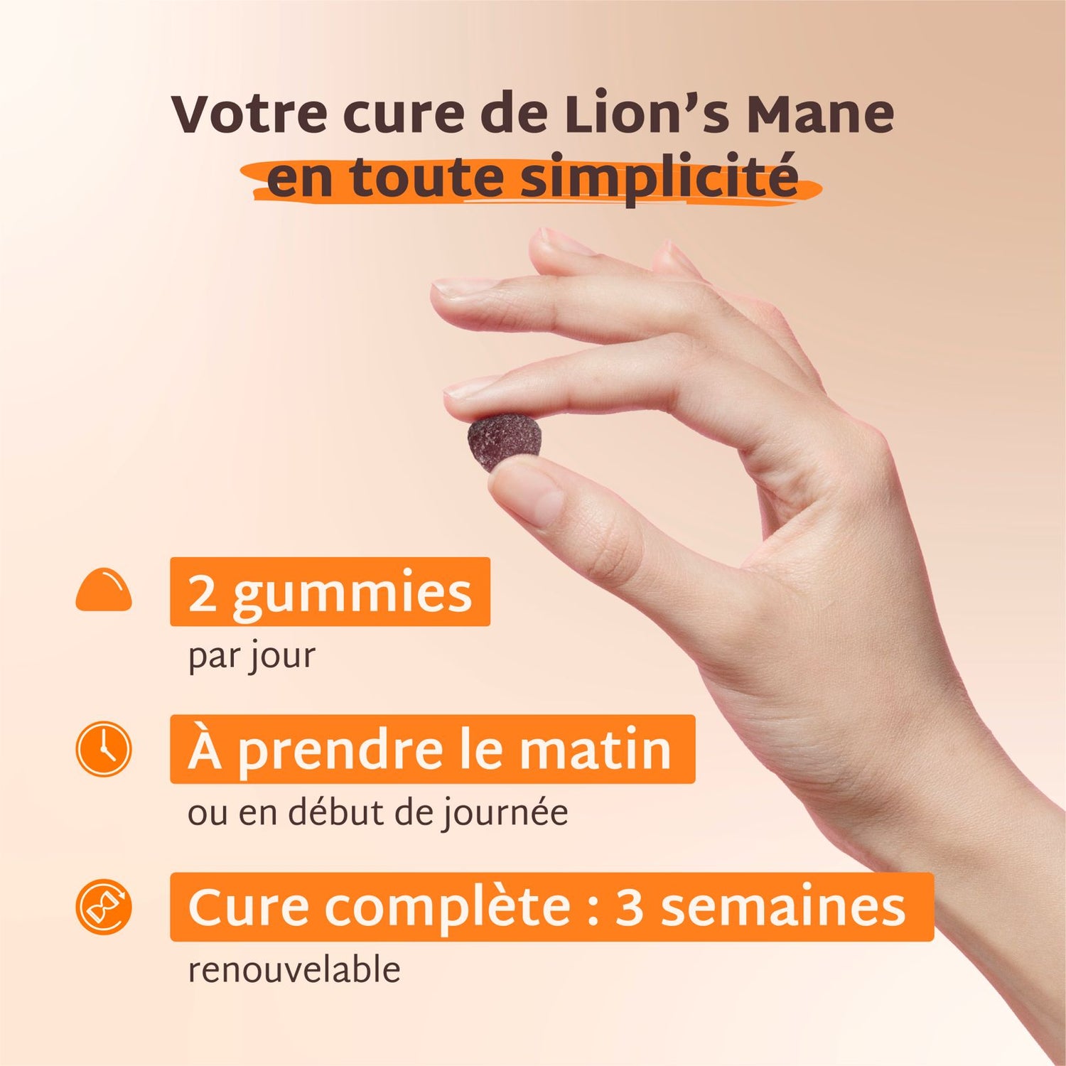 Pack 4 pots Gummies LION&