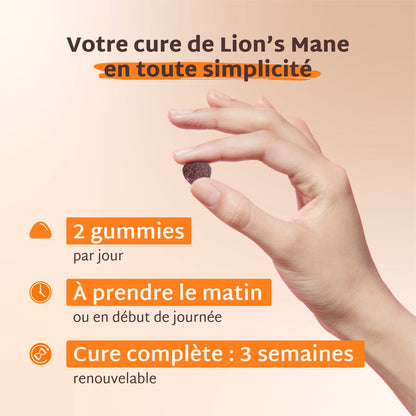 Pack 4 pots Gummies LION&