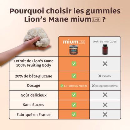 Pack 4 pots Gummies LION&