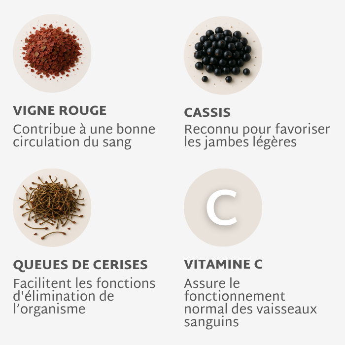 Gummies CIRCULATION SANS SUCRES | Jambes lourdes | 21 jours