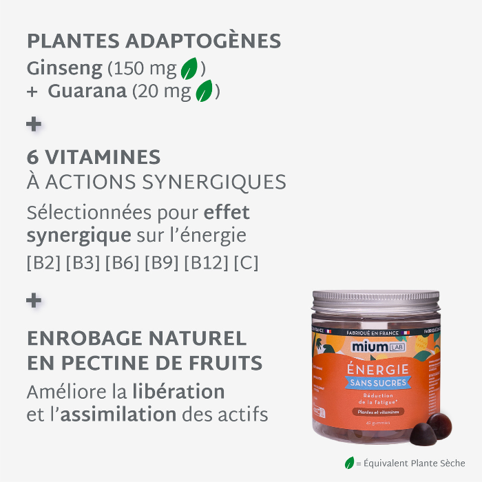 Éco-recharge ÉNERGIE | Boost physique et mental | 21 jours