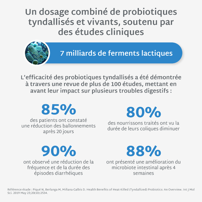 Gummies PROBIOTIQUES SANS SUCRES | Confort digestif | 21 jours
