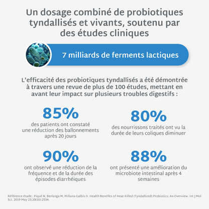 Gummies PROBIOTIQUES SANS SUCRES | Confort digestif | 21 jours