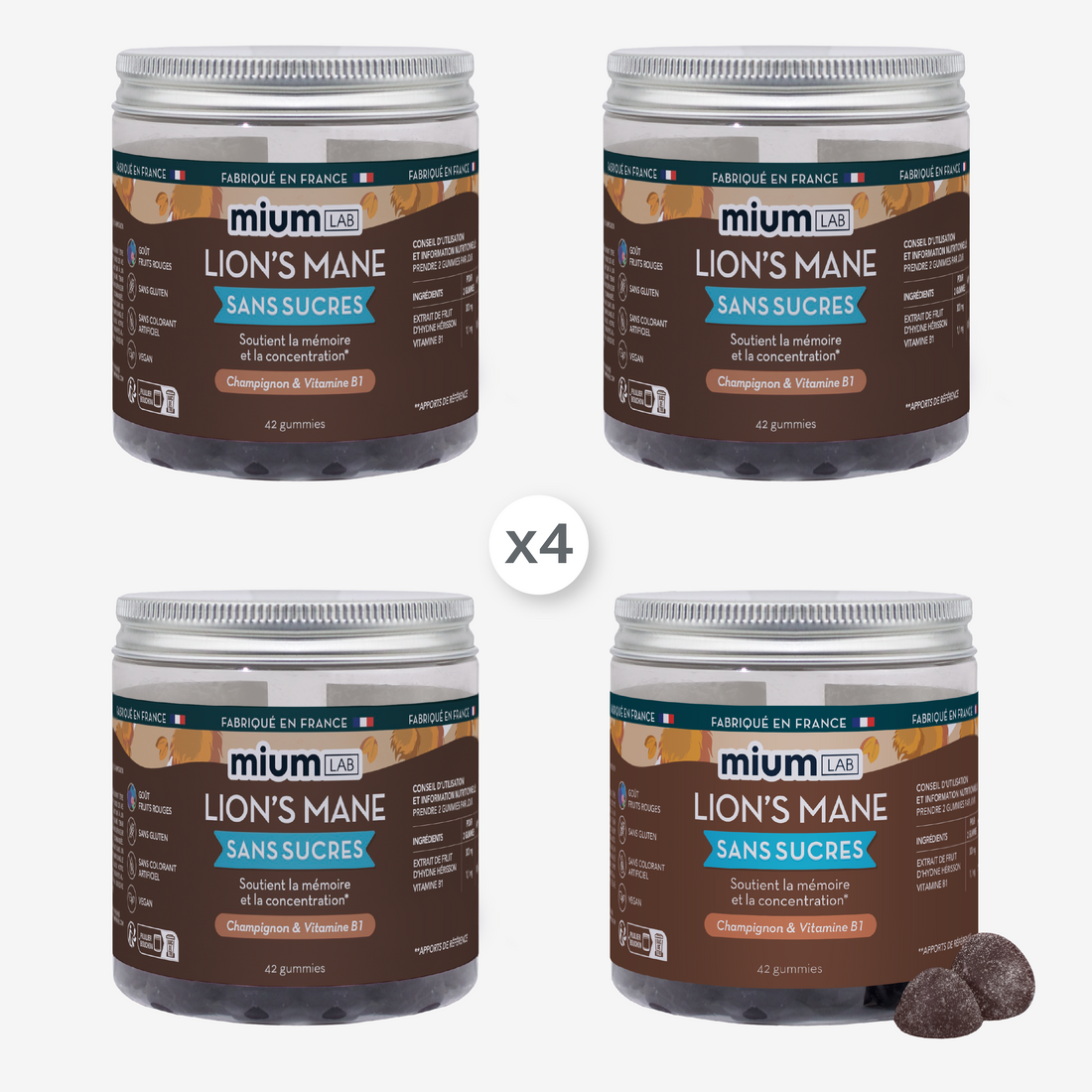 Pack 4 pots Gummies LION&