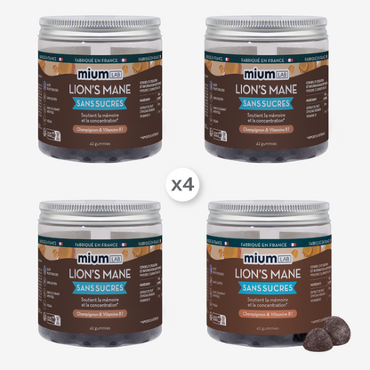 Pack 4 pots Gummies LION&