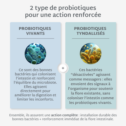 Gummies PROBIOTIQUES SANS SUCRES | Confort digestif | 21 jours