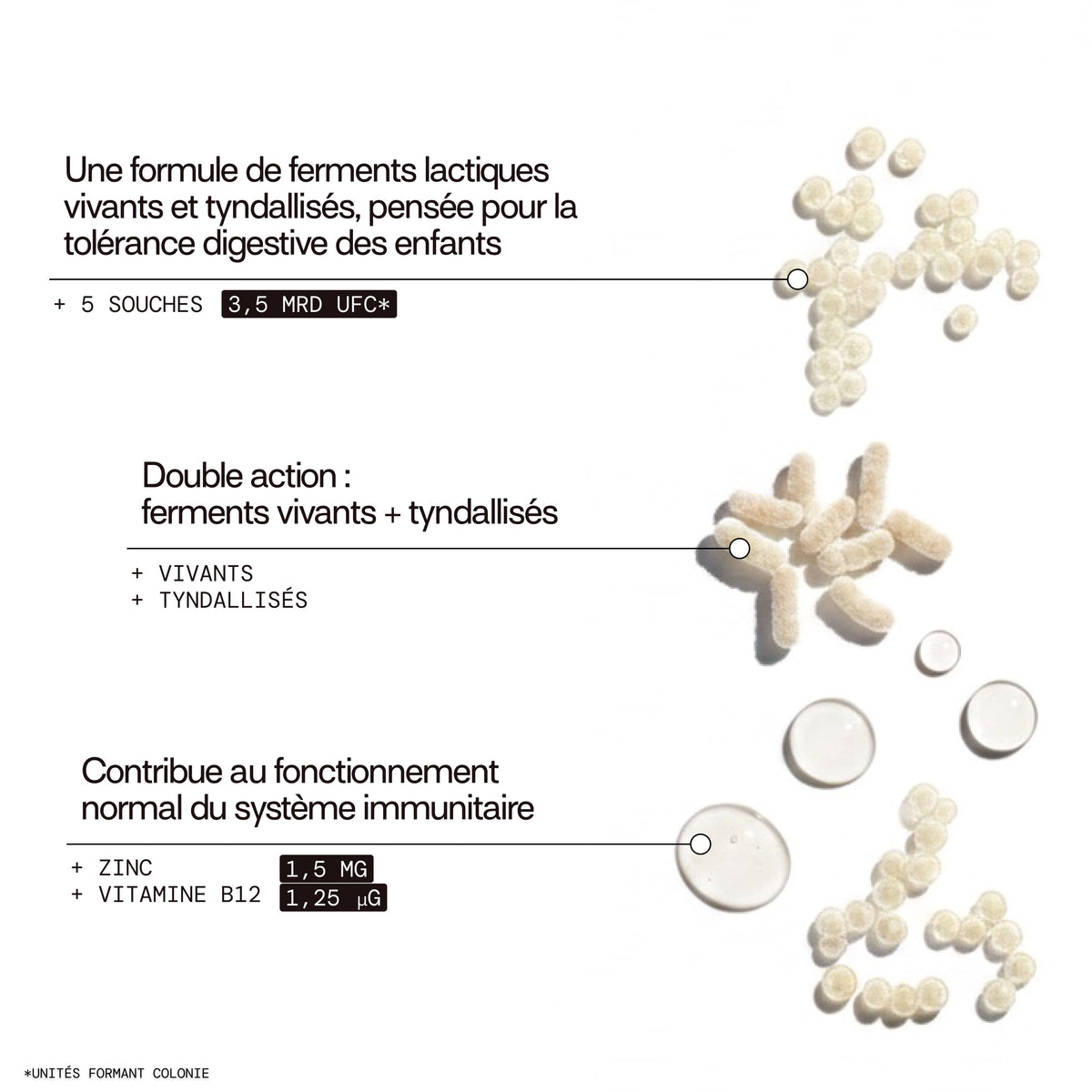 Gummies PROBIOTIQUES SANS SUCRES ENFANTS | Confort digestif | 30 jours 🧒