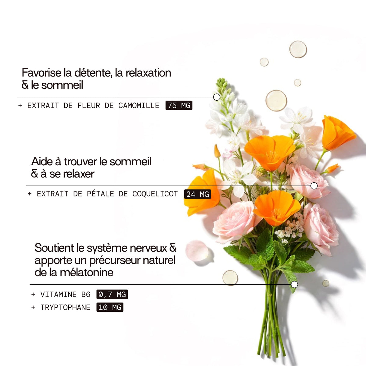 Gummies SOMMEIL SANS SUCRES ENFANTS | Qualité du sommeil | 30 jours 🧒