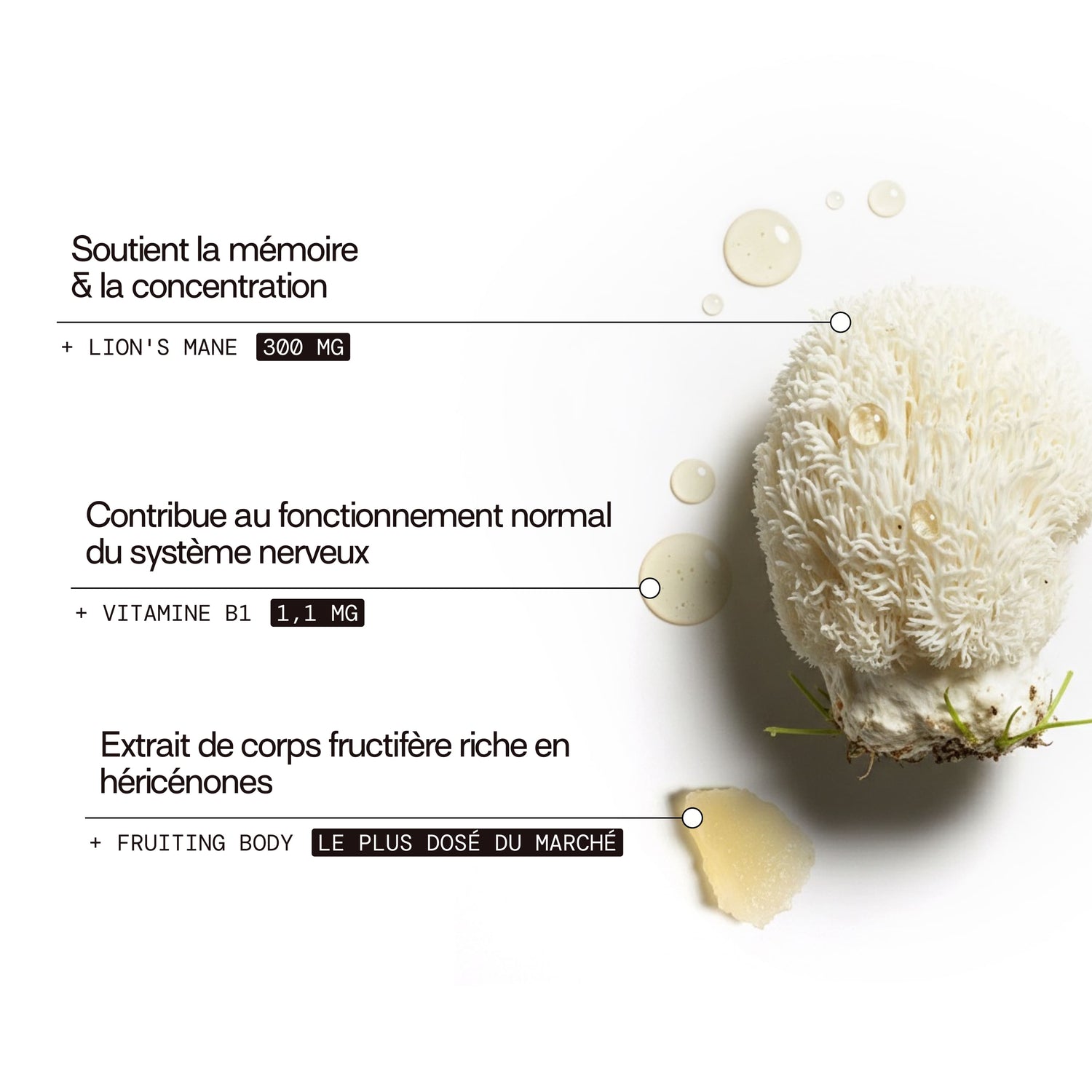 Gummies LION&
