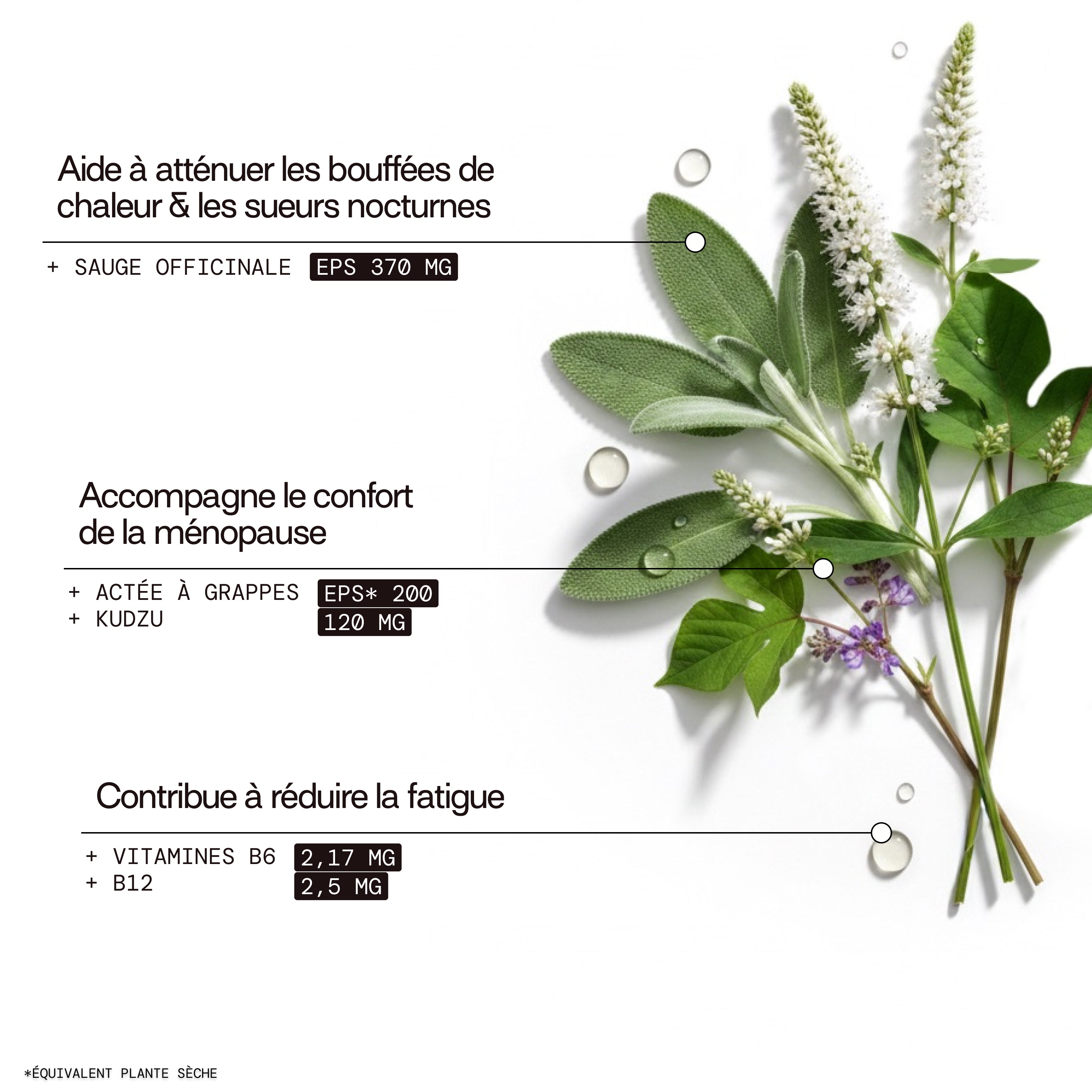 Gomitas Menopausia SIN AZÚCARES | Sofocos, fatiga | 21 días ♨️