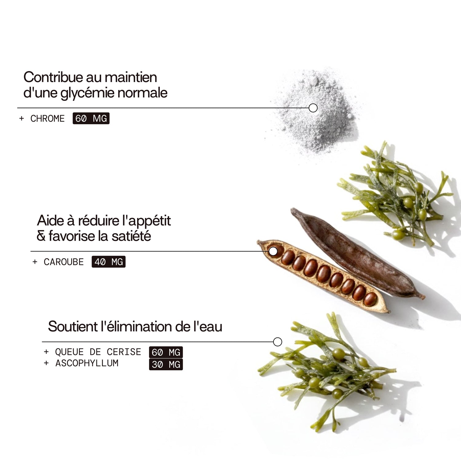 Gummies MINCEUR SANS SUCRES | Perte de poids | 21 jours