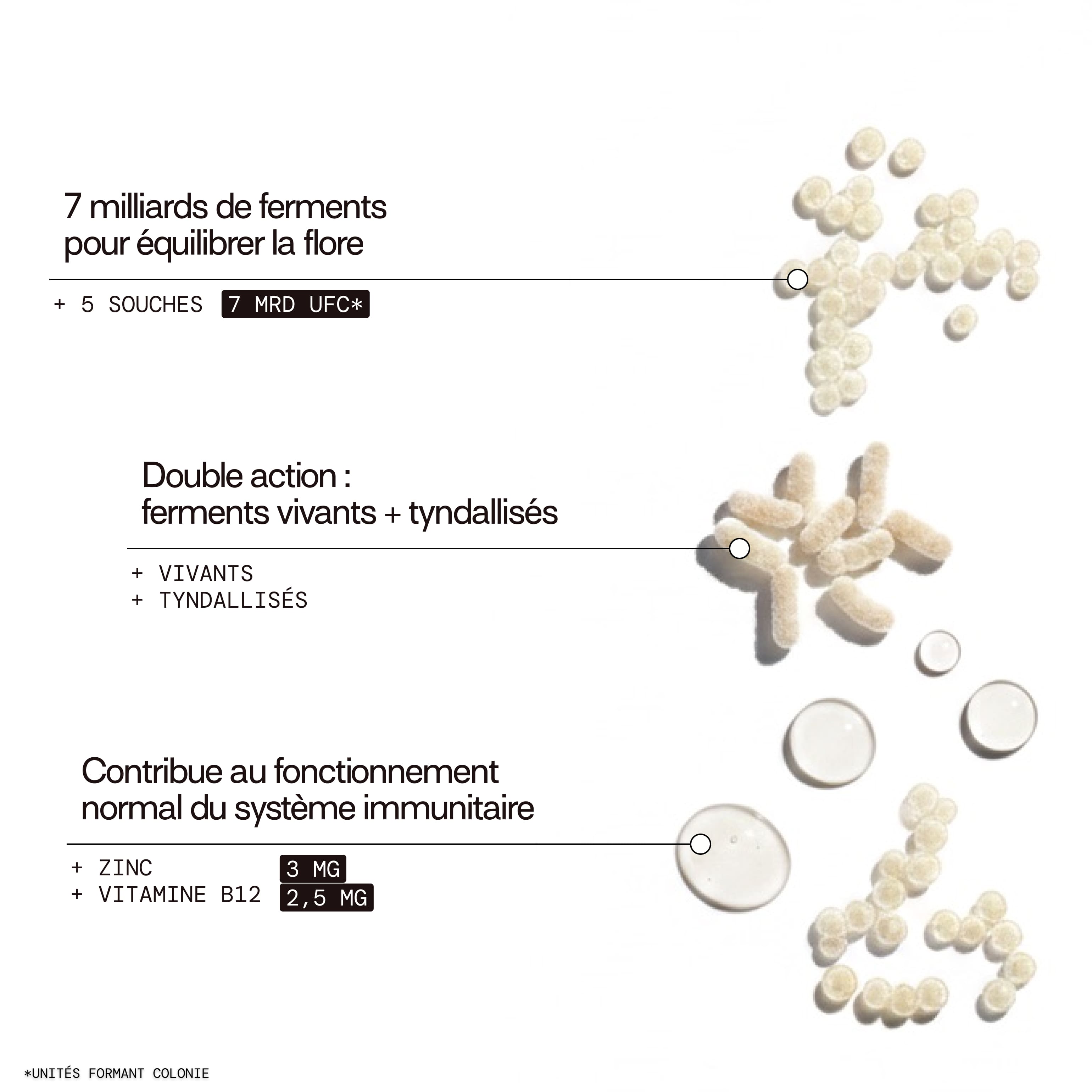 Gummies PROBIOTIQUES SANS SUCRES | Confort digestif | 21 jours