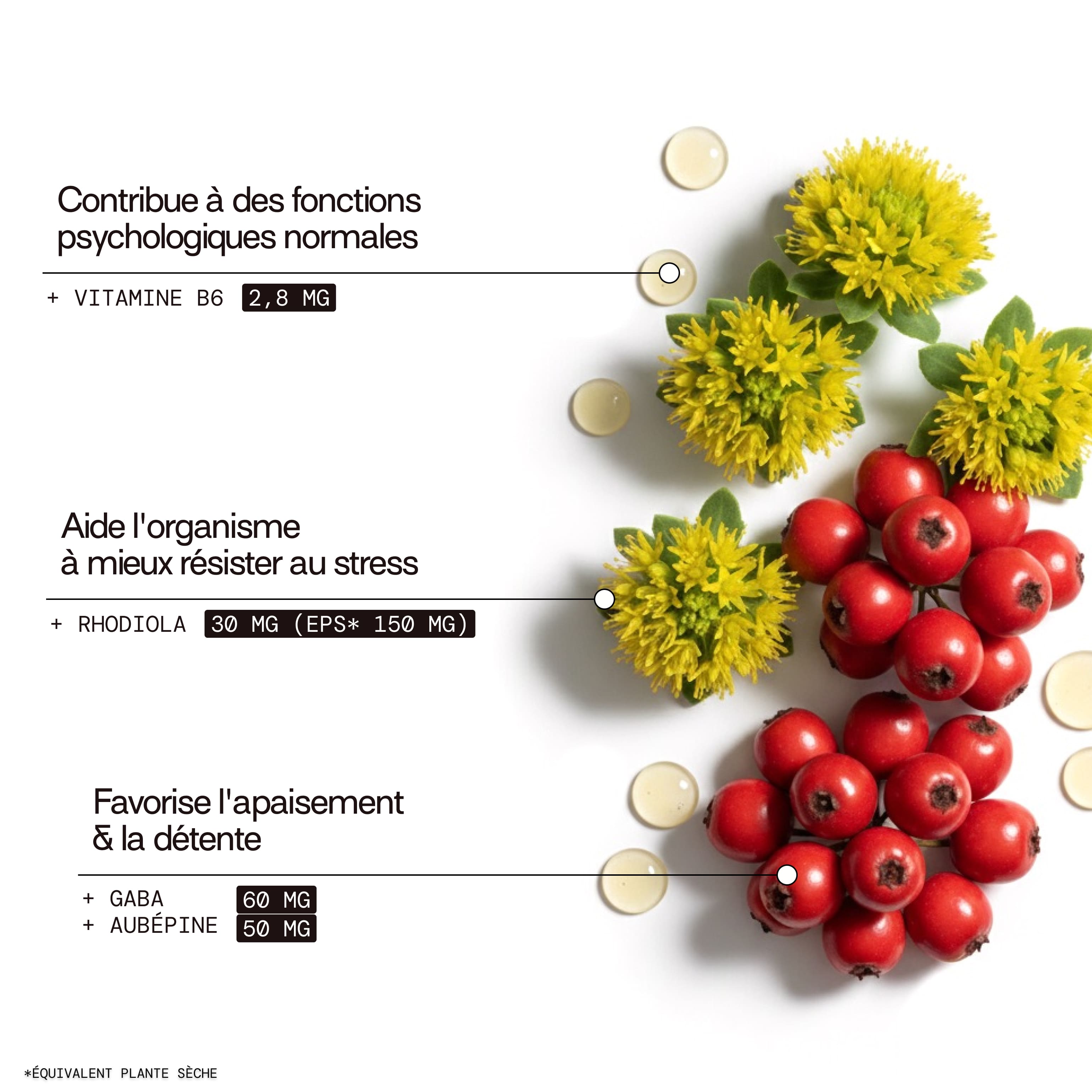 Gummies STRESS SANS SUCRES | Anti-stress et anxiété | 21 jours