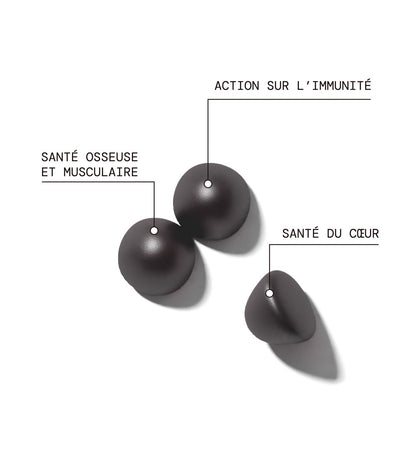 Pack Trio Hiver Essentiel | Immunité + Vitamine D + Fer | 3 x 21 jours