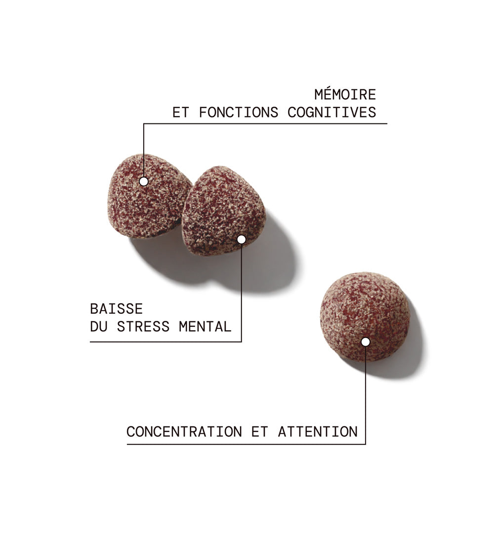 Bienfaits produits de la cure Lion&