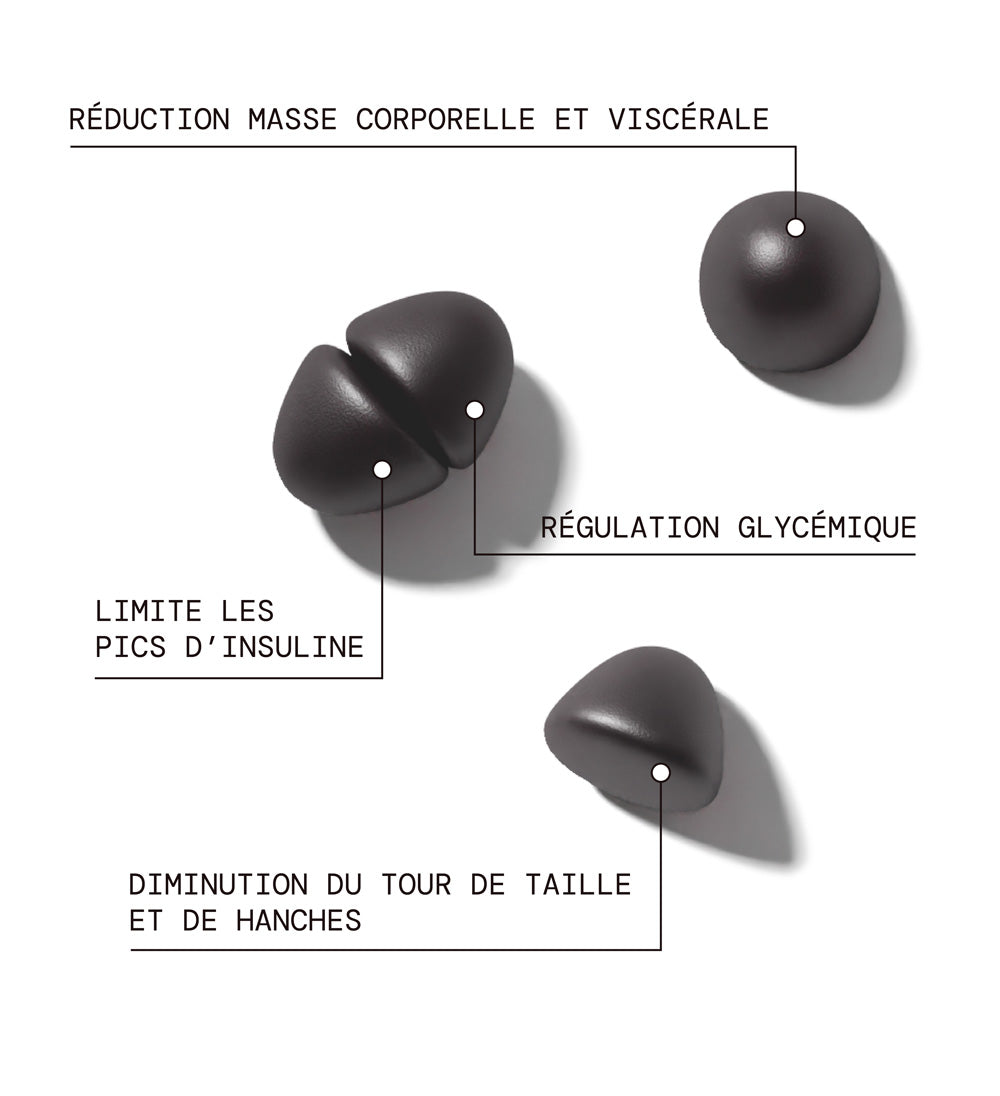 Pack Trio Reset Métabolisme Jour & Nuit | Morosil + Probiotiques + Sommeil | 3 x 21 jours