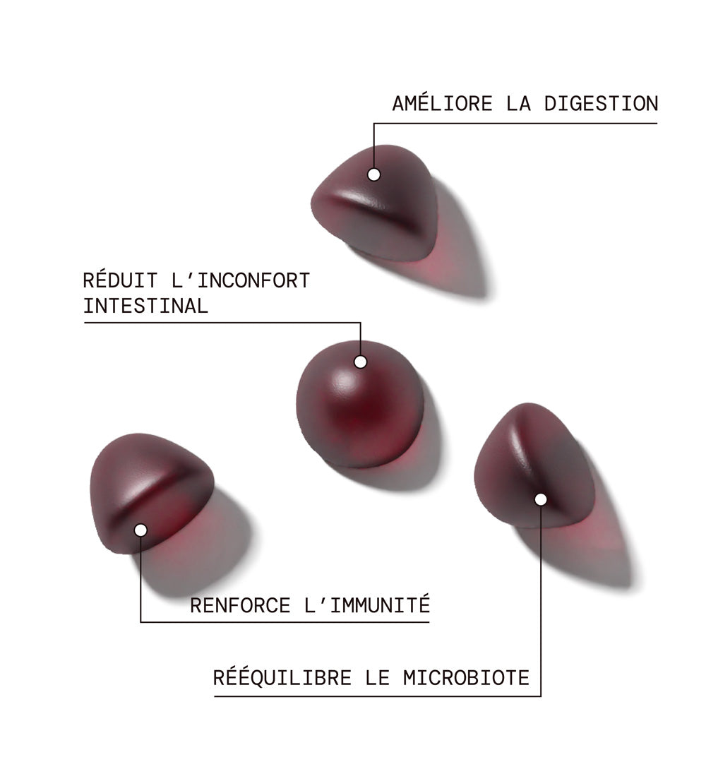 Pack Trio RESET MÉTABOLISME JOUR &amp; NUIT | Morosil + Probiotiques + Sommeil | 3 x 21 jours