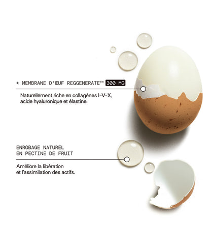 composition: membrane d&