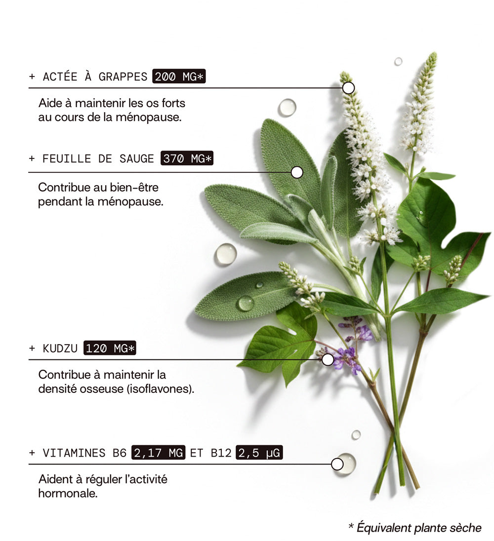 composition: actée à grappes, feuille de sauge, kuzdu, vitamine b6 et b12