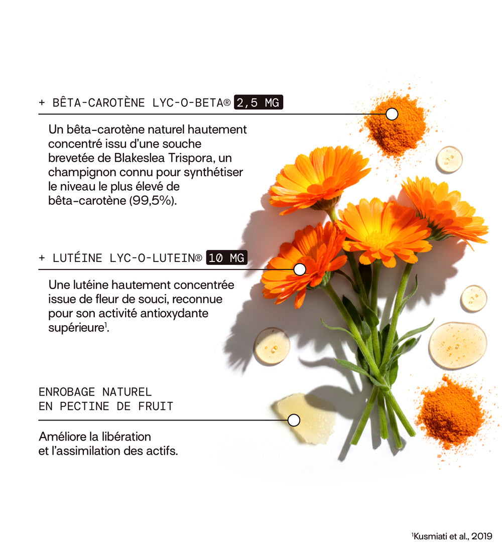 composition: bêta-carotène, lutéine