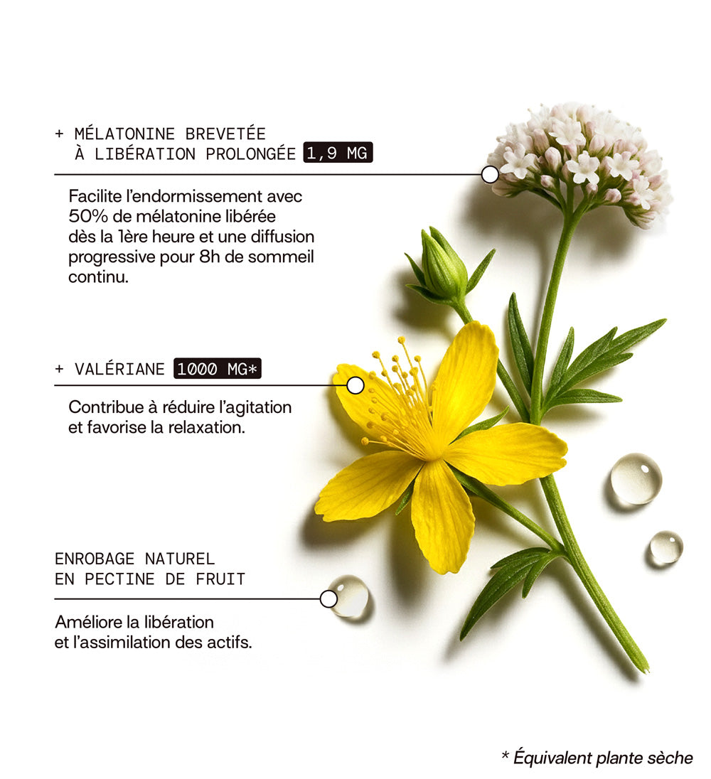 composition: melatonine breveté à libération prolongée 1,9mg, valériane